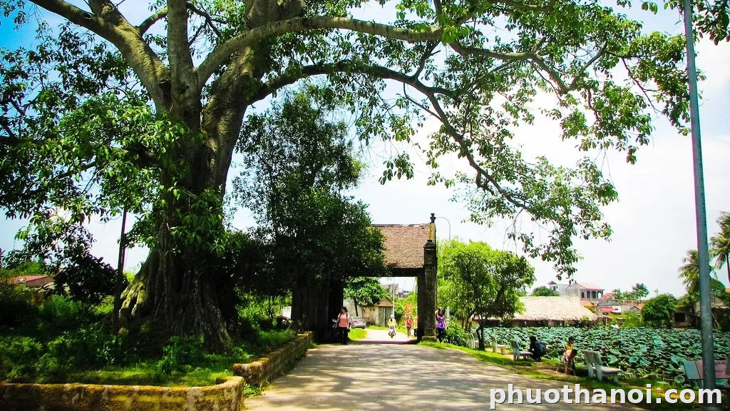 Cổng làng Mông Phụ
