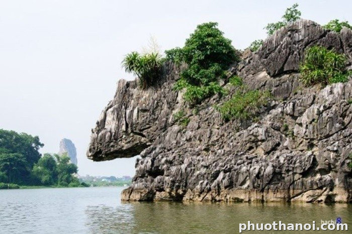 Đồi Voi Phục