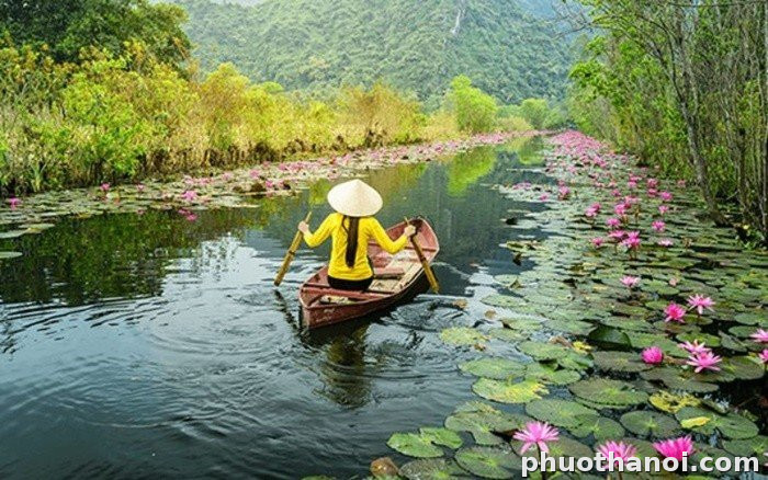 Đảo Sư Tử